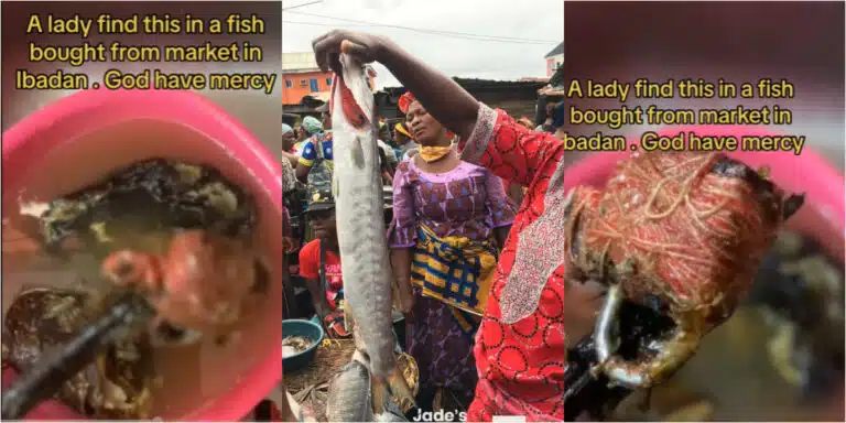 Surprise Inside Fish: Woman Finds Juju-Locked Padlock in Fish Purchased at Ibadan. (Video)